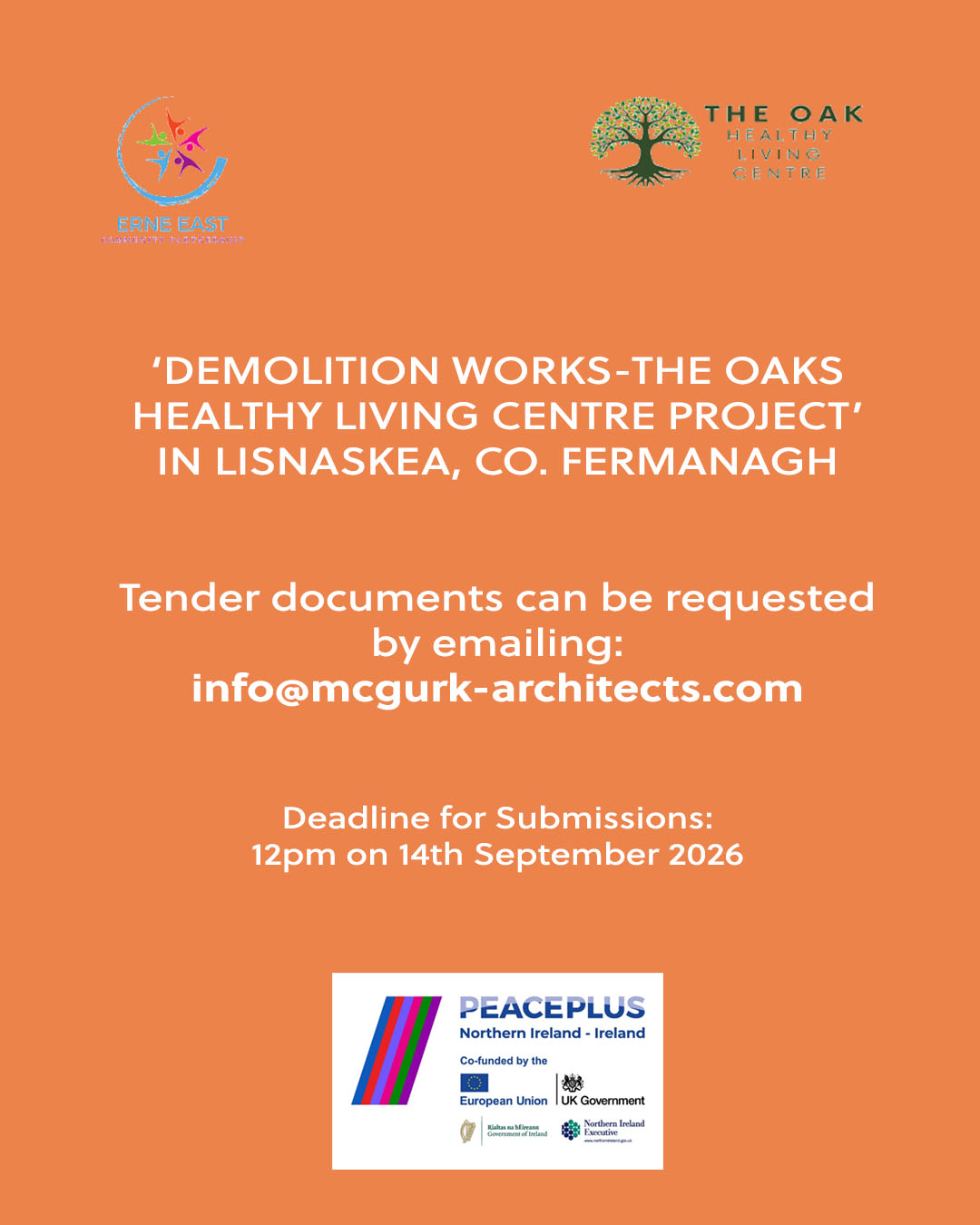 lisnaskee tender notice